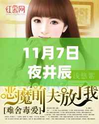11月7日夜井辰唐心瑶新篇章,学习之旅的蜕变与成就感的魔法之旅