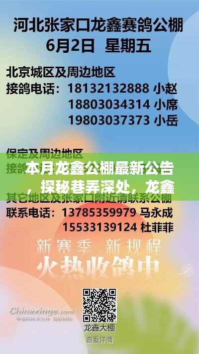 admin 第15页