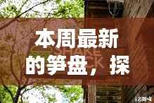 文质彬彬 第11页