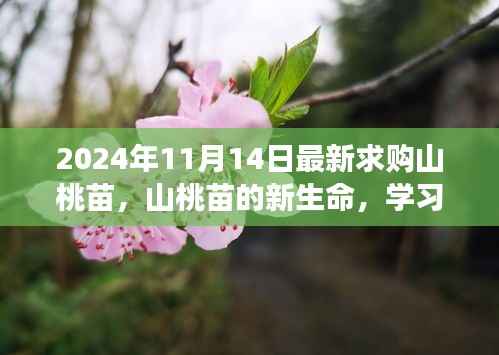 admin 第11页