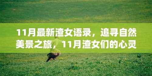 星星打烊 第10页