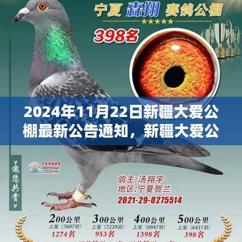 走马观花 第7页