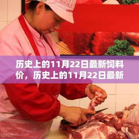 历史上的11月22日最新饲料价,历史上的11月22日最新饲料价,特性、体验、对比与评估