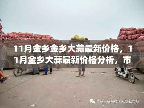 11月金乡大蒜最新价格及市场走势多元观点探讨