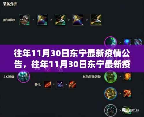 往年11月30日东宁疫情公告详解,全面评测与介绍