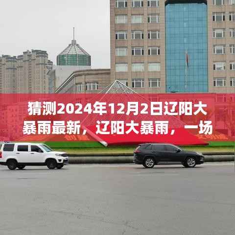 辽阳大暴雨洗礼,预见中的风雨洗礼(2024年12月2日最新预测)
