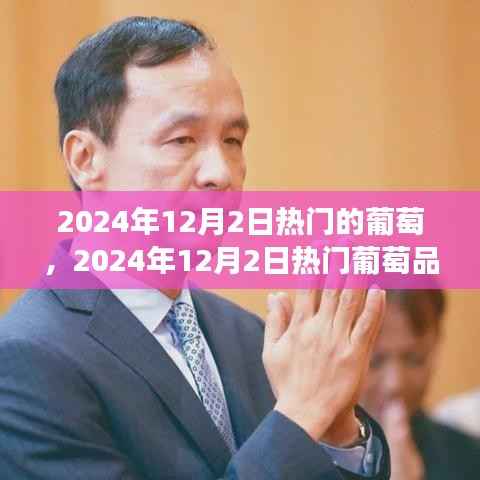 对答如流 第4页