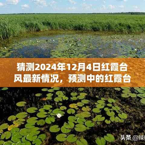 滔滔不绝 第4页