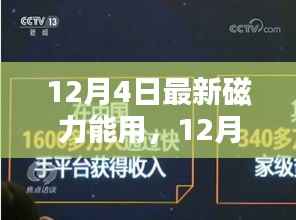 12月4日最新磁力全面评测与介绍,实用性与效果解析