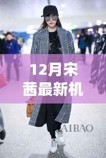 12月宋茜最新机场街拍,宋茜的机场街拍启示录,与自然美景的邂逅,寻找内心的宁静之旅