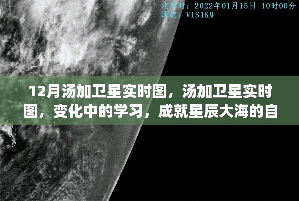 开张圣听 第2页