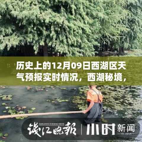 历史上的12月9日西湖区天气预报下的心灵之旅,实时天气与秘境探索