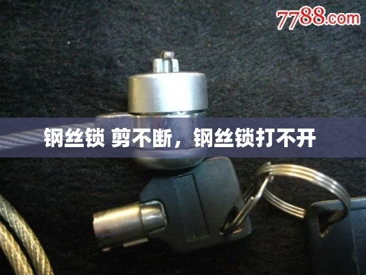 钢丝锁 剪不断,钢丝锁打不开