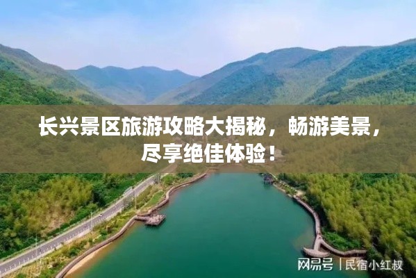 张牙舞爪 第2页