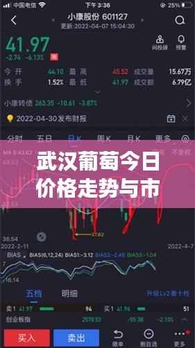 下马看花 第2页