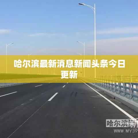 哈尔滨最新消息新闻头条今日更新