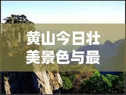黄山今日壮美景色与最新图片欣赏