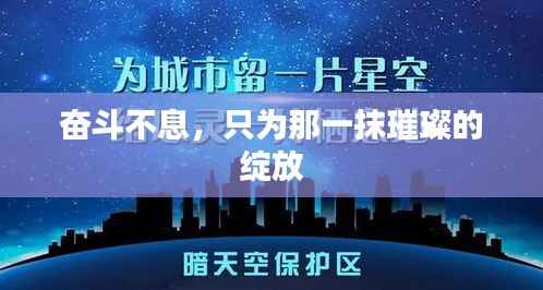 奋斗不息，只为那一抹璀璨的绽放