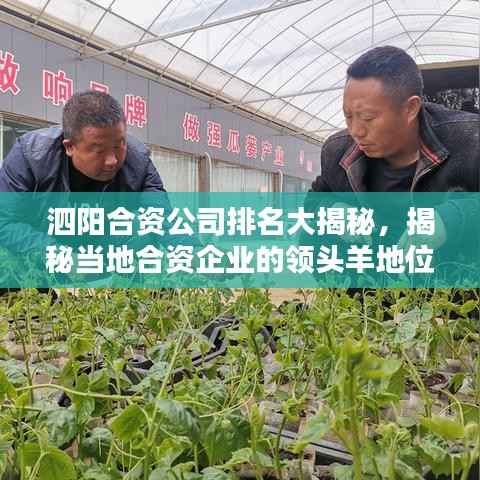 全神贯注 第2页