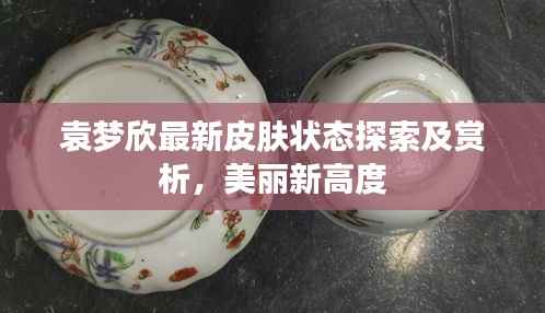 袁梦欣最新皮肤状态探索及赏析，美丽新高度