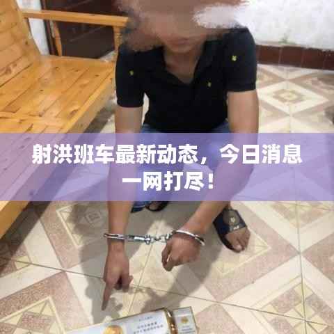 射洪班车最新动态,今日消息一网打尽!