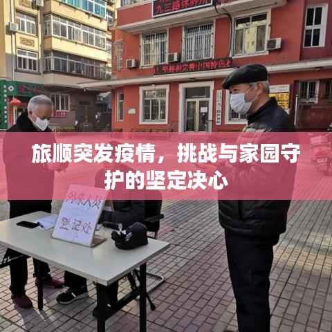 飞燕化龙 第2页