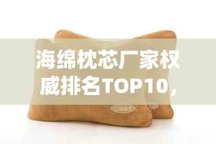 海绵枕芯厂家权威排名TOP10,品质之选一网打尽