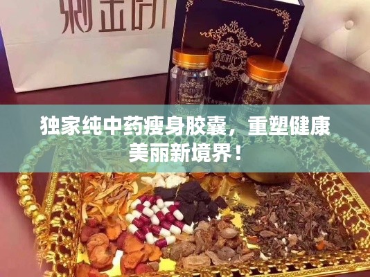 龙飞凤舞 第2页