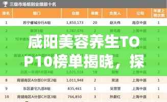 咸阳美容养生TOP10榜单揭晓,探寻美丽秘诀的奥秘之旅