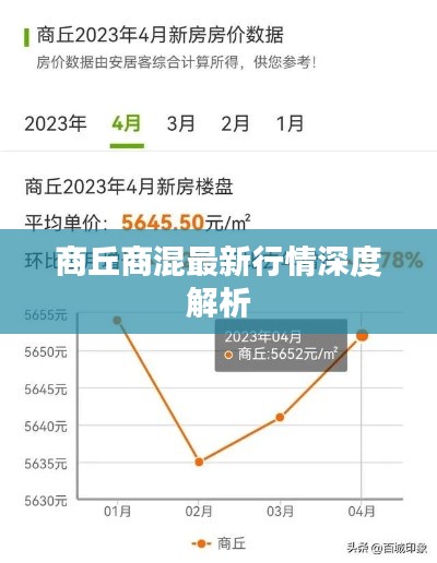 惨淡经营 第2页