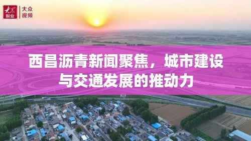 笼鸟槛猿 第2页